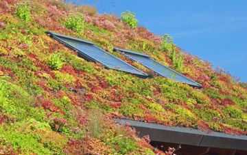 Harringay living roof systems