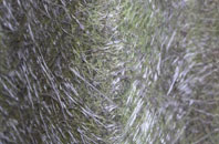 Harringay fibreglass roof work